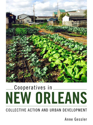 Cooperatives in New Orleans - ebook